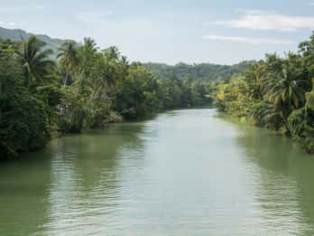 Bohol: Private Countryside Tour with Buffet Lunch