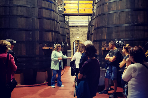 Ribera del Duero wine region private tour Ribera del Duero Private Wine Tour