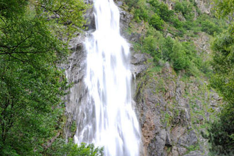 From Geneva: Chillon Castle, Sion, and Täsch Tesla Transfer