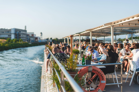 Basel: Panorama Sightseeing Cruise on the Rhine (75 min.)