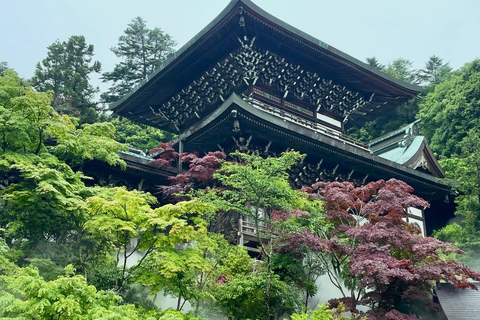 Hiroshima: Explora Miyajima Tour Privado Gema con Local 5horasMiyajima 5 horas