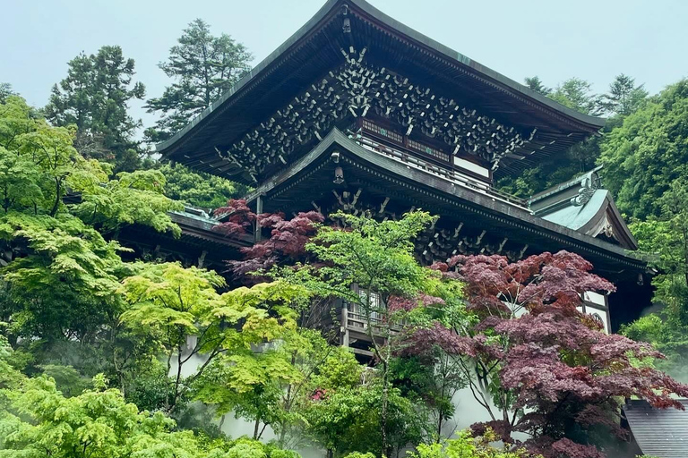 Hiroshima : Visite privée de Miyajima avec un guide local 5 heuresMiyajima 5 heures