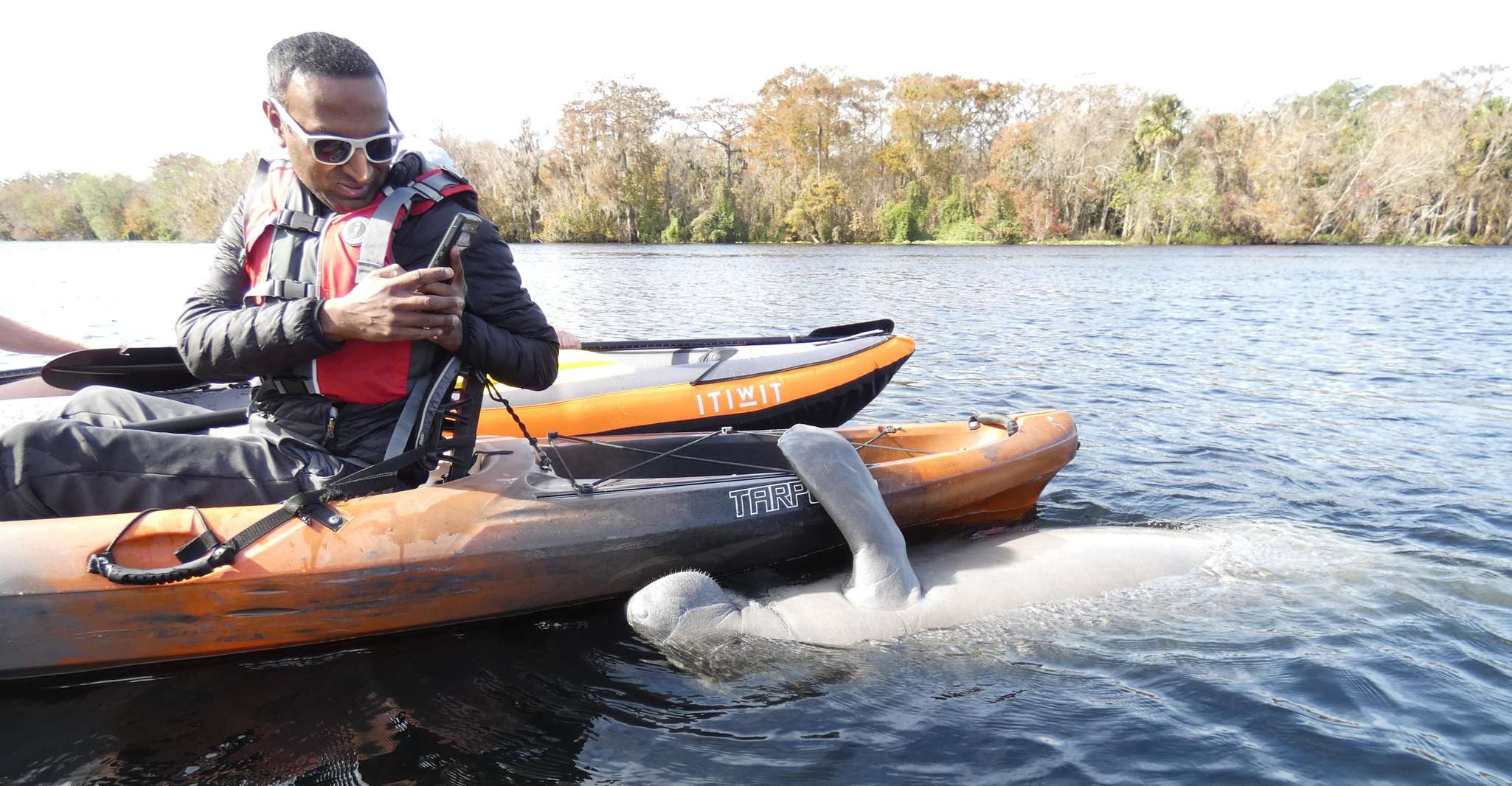 Orlando: Small Group Manatee Discovery Kayak Tour