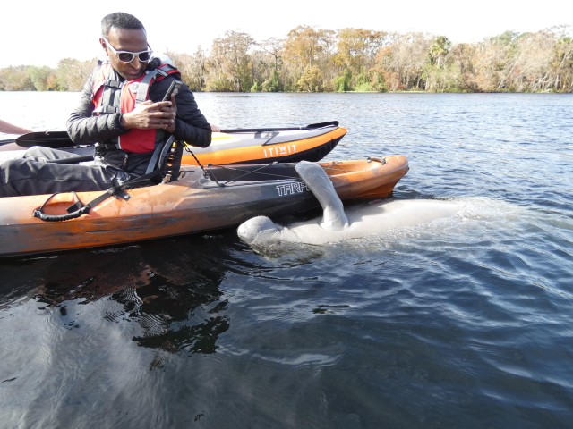 Visit Orlando Small Group Manatee Discovery Kayak Tour in New Smyrna Beach