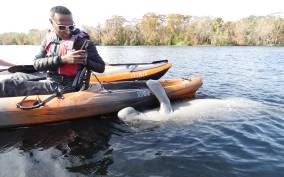 Orlando: Small Group Manatee Discovery Kayak Tour