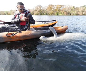 Orlando: Small Group Manatee Discovery Kayak Tour