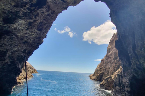 Wycieczka po wybrzeżu i jaskiniach Cathedral Cove