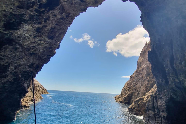 Wycieczka po wybrzeżu i jaskiniach Cathedral Cove