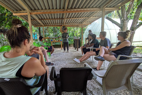 Minca: Hidden Waterfall Adventure and Artisanal Cocoa Workshop Waterfall + cocoa workshop + viewpoint - Departure from Minca