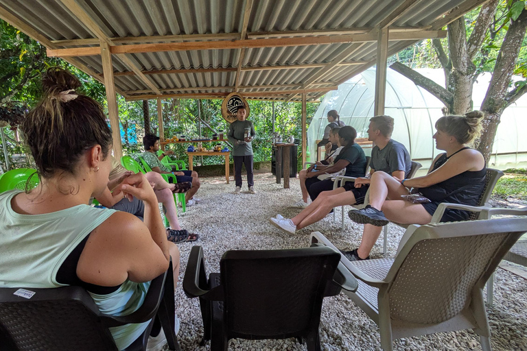 Minca: Hidden Waterfall Adventure and Artisanal Cocoa Workshop Waterfall + cocoa workshop + viewpoint - Departure from Minca