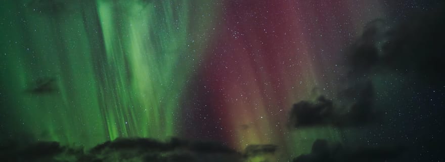 Bodø : Safari aux aurores boréales