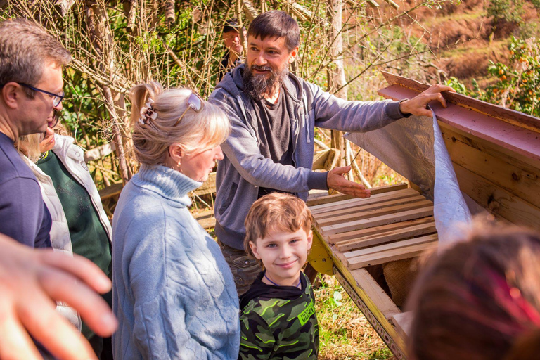 Batumi: Sweet Excursion and Mtirala Forest