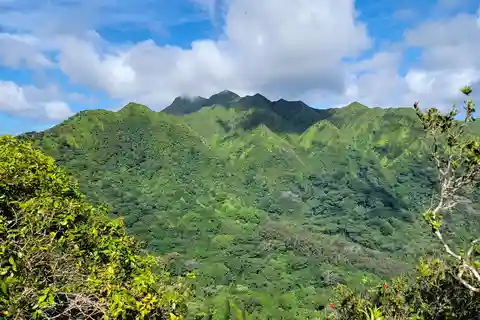 Honolulu: Hawaiian Volcanic Rainforest Hike