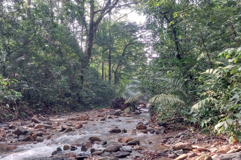 Ujung Kulon National Park: Eco Jungle Treks w/Green Anda's