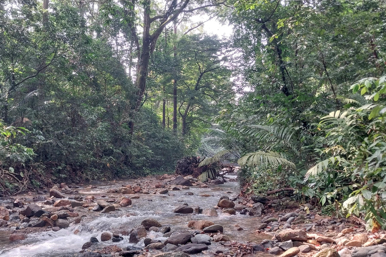 Ujung Kulon National Park: Eco Jungle Treks w/Green Anda's