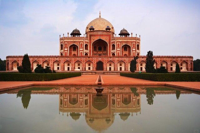 From Delhi: 3-Day Golden Triangle Tour with Tiger Safari All Inclusive 3days Golden Triangle Tour with 4*Star Hotel