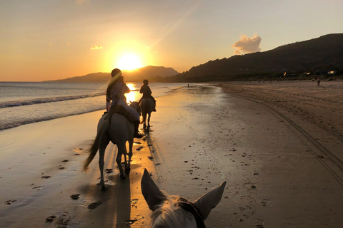 Aruba: Sunrise or Sunset Horseback Ride by the Coast