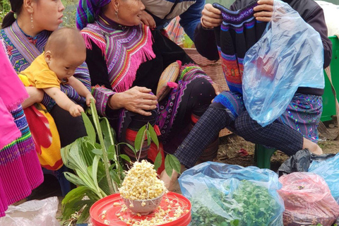From Sapa: 1D Local Bac Ha Sunday Market Tour - Best Seller Bac Ha Market Tour with Local Lunch ( Lunch Included )