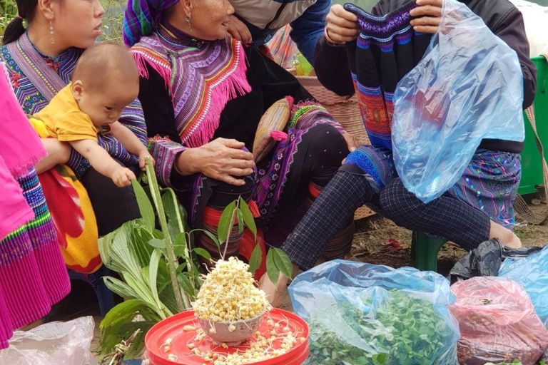 From Sapa: 1D Local Bac Ha Sunday Market Tour - Best Seller Bac Ha Market Tour with Local Lunch ( Lunch Included )