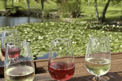 Auckland: Visita panorâmica de degustação de vinhos com almoçoAuckland: Tour panorâmico de degustação de vinhos com almoço