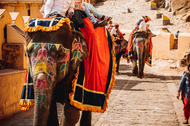 Vanuit Delhi: privérondleiding door de stad Jaipur met de autoAll-inclusive rondreis