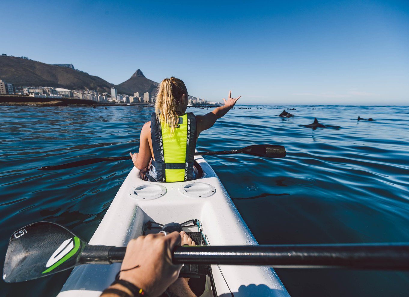 Cape Town: Kajaktur med marint liv fra V&A Waterfront