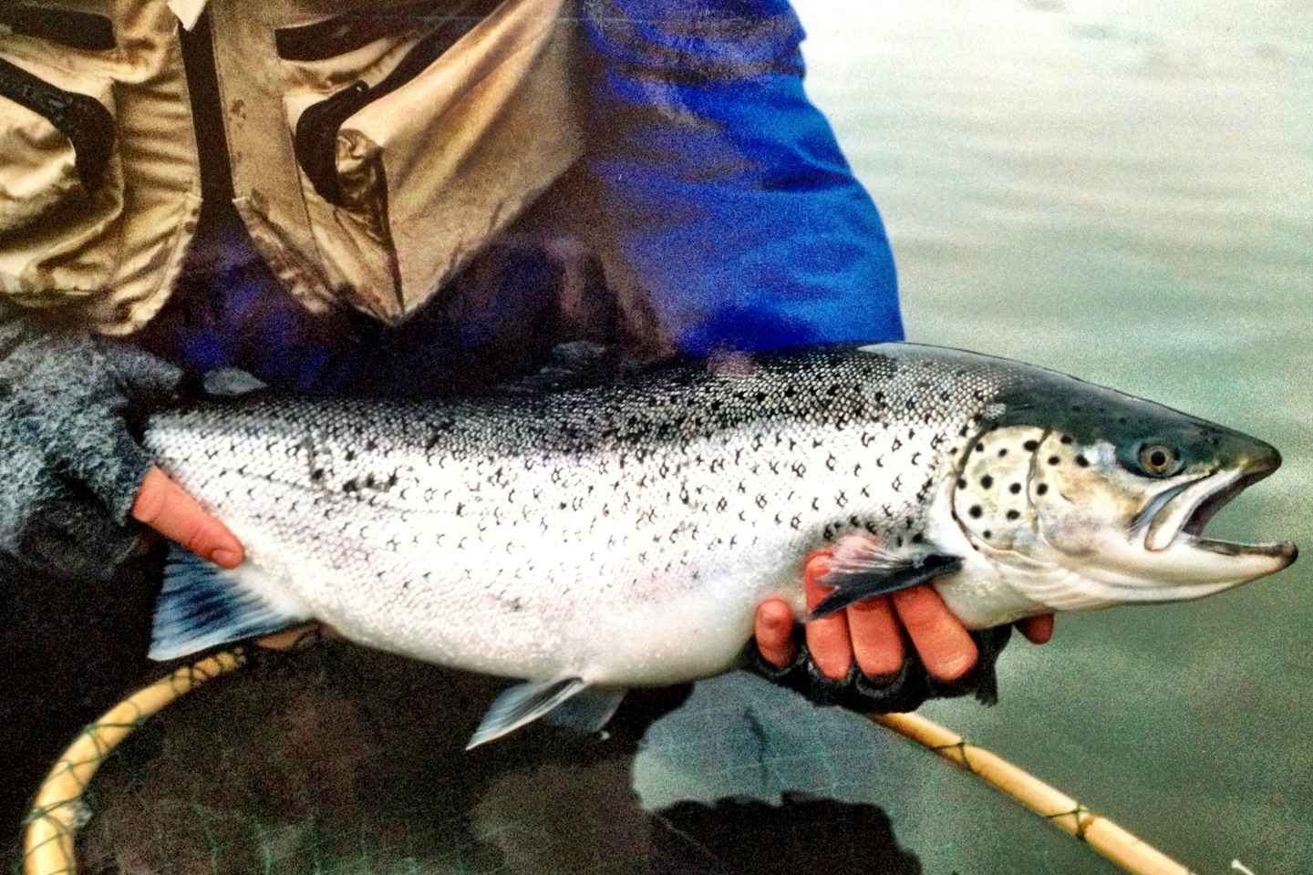 Sea Trout Fishing in the Stockholm Archipelago