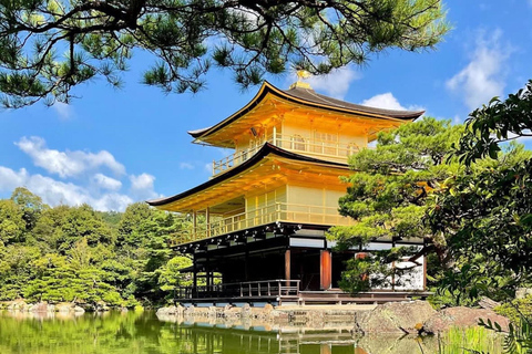 كيوتو/نارا: جولة عائلية ممتعة وثقافية بالسيارة مع خدمة التوصيل من الفندق