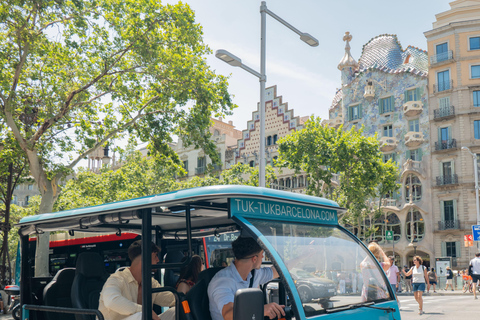 1,5-timmars privat Tuk-Tuk-tur i Barcelona och på stranden1,5-timmars privat tur med tuk-tuk i Barcelona och på stranden
