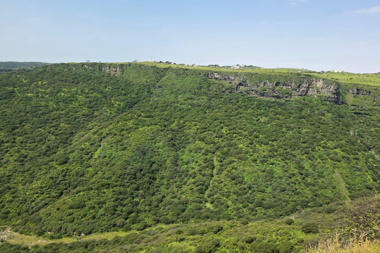 Salalah: Al Fazayah Beach, Shaat Viewpoint & Mugsail Tour