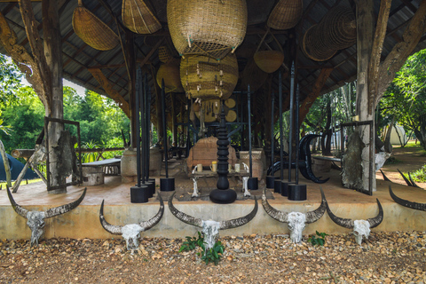 Tour dei templi di Chiang Rai: Templi bianchi e blu e Casa Nera