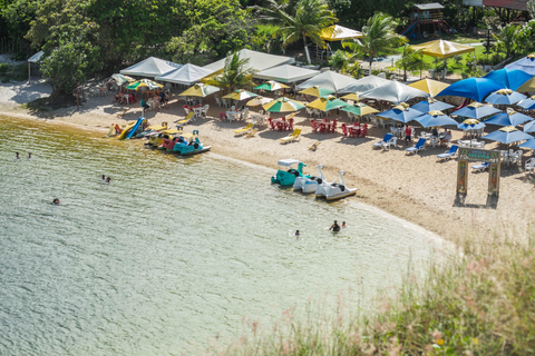 From Natal: Genipabu Dunes Buggy Adventure