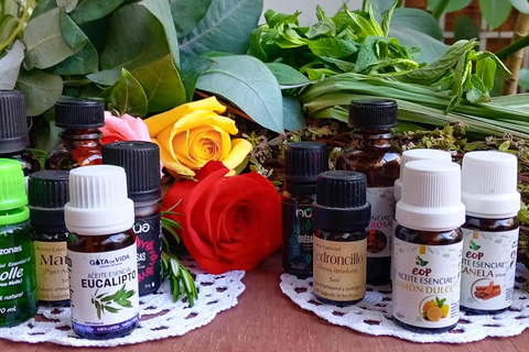 Taller de perfume natural en Arequipa con aceites esenciales peruanos