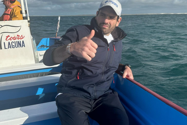 Grey Whale Watching at Mag Bay From Loreto
