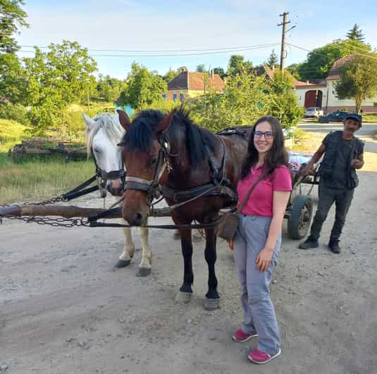 From Sibiu: Village Crafts Around Sighișoara - Full-Day Trip