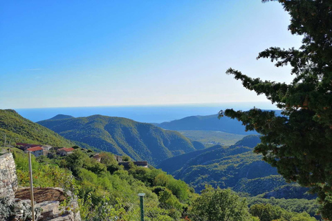 Unique gastro experience with locals in hills above Budva! Unique lunch experience with locals in hills above Budva!