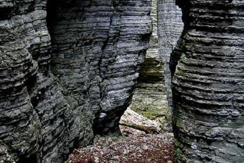 VENETIË: ONTDEK WILDE DIEREN IN DE DOLOMIETEN