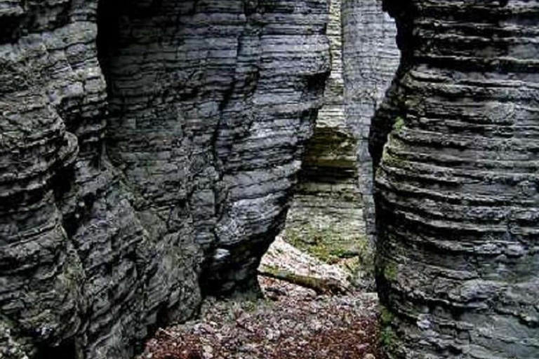 VENETIË: ONTDEK WILDE DIEREN IN DE DOLOMIETEN