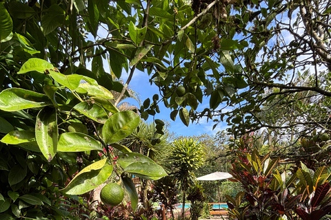 Mindo: Cloud Forest Riverfront Massage