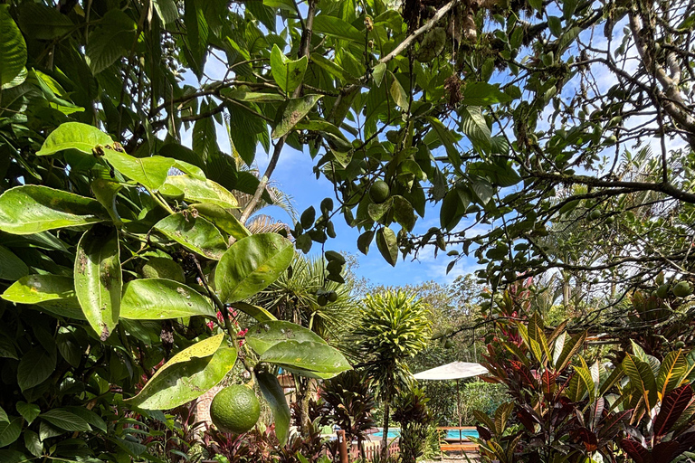 Mindo: Cloud Forest Riverfront Massage