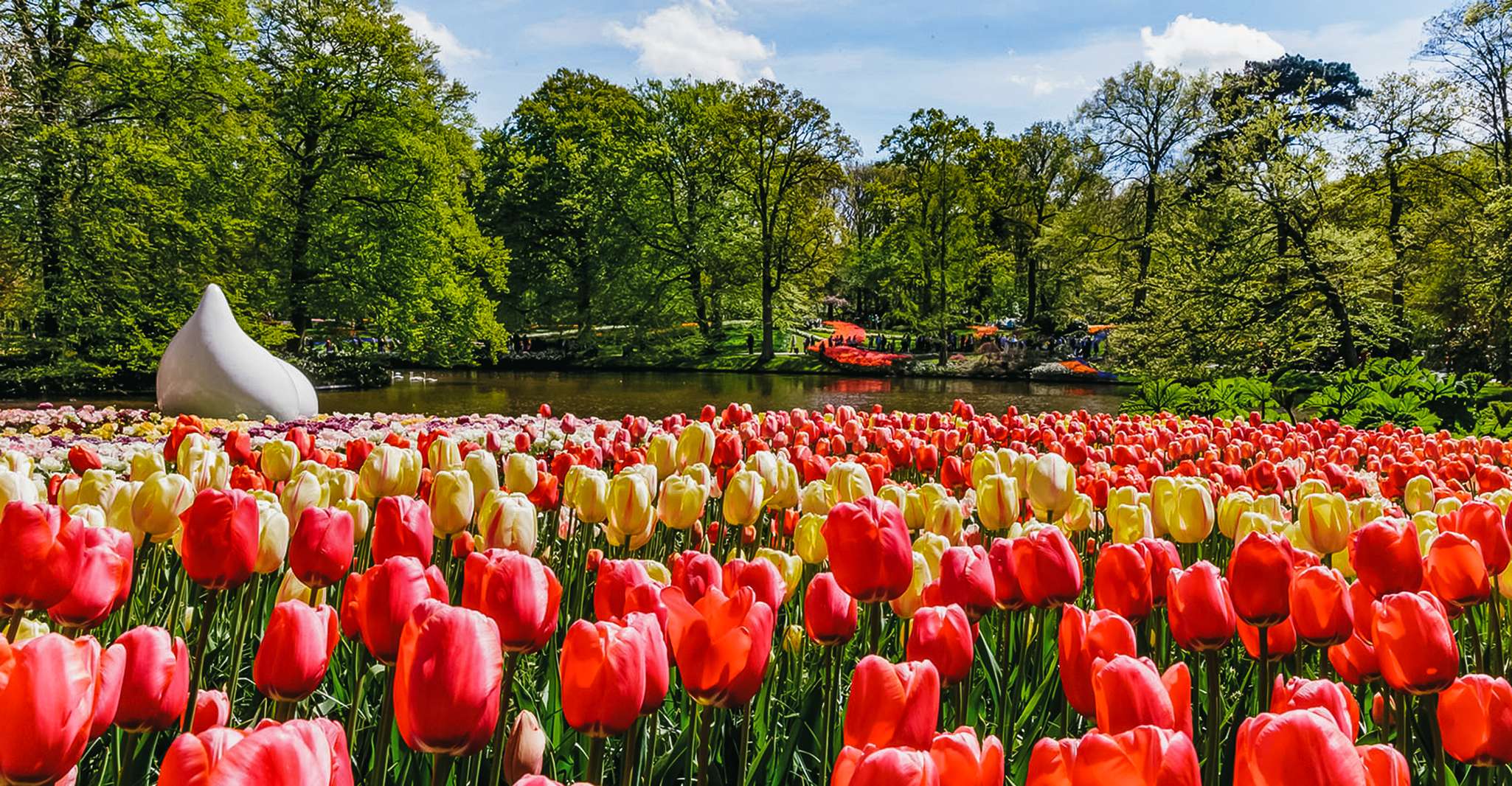 Da Amsterdam, Keukenhof Ingresso e andata e ritorno Shuttle Bus - Hizvo