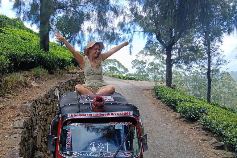 ELLA Lipton Seat Tea Test & Pluck 9Arch, Waterfalls, & Food Lipton's Seat, Little Adam Peak, 9 Arch, Ravana Waterfalls