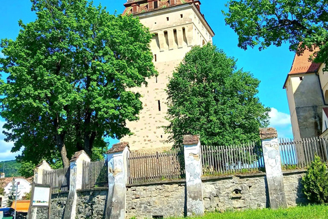 Saxon Villages Tour: Viscri, Rupea Fortress, Criț & Saschiz