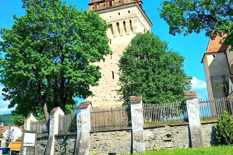 Saxon Villages Tour: Viscri, Rupea Fortress, Criț & Saschiz