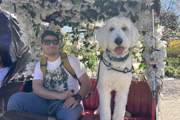 NYC : visite guidée de luxe en vélo-taxi dans Central ParkNew York : visite guidée de luxe en vélo-taxi dans Central Park