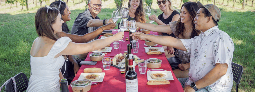 Visite œnologique d'une journée complète à Bordeaux - 3 caves et pique-nique