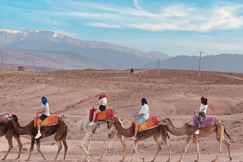 Marrakesch:Erkunde die Wüste Agafay Kamel&Quad mit Abendessen&Show