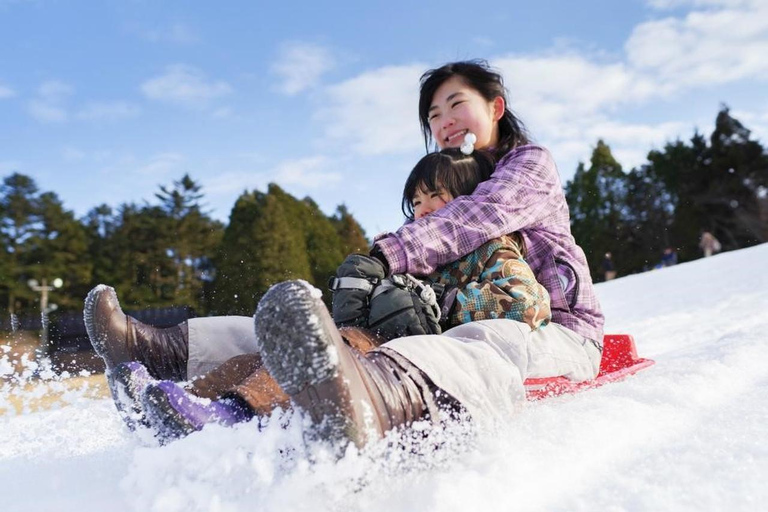 Desde Osaka: Parque de Nieve de la Montaña de Rokko y Aguas Termales de Arima