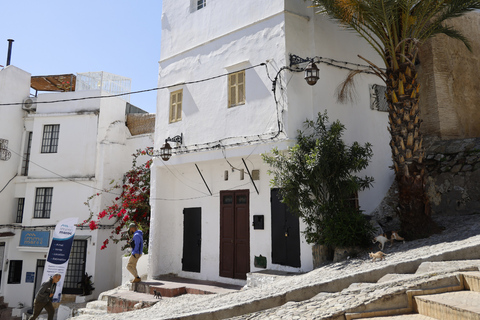 丹吉尔：犹太遗产私人观光之旅，参观犹太教堂丹吉尔：犹太遗产私人观光之旅（含犹太教堂）