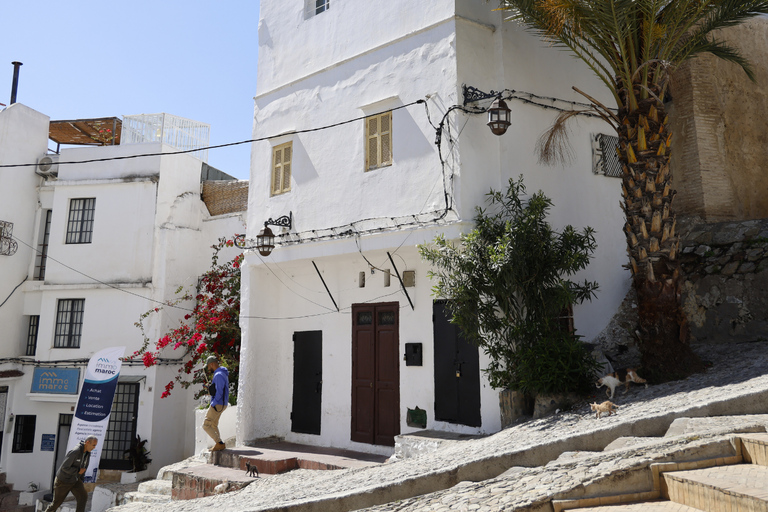 丹吉尔：犹太遗产私人观光之旅，参观犹太教堂丹吉尔：犹太遗产私人观光之旅（含犹太教堂）